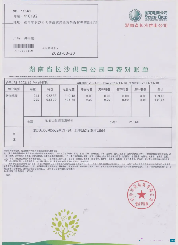 download download CHINA STATE POWER GRID utility bill Word and PDF template PDF template PDF template